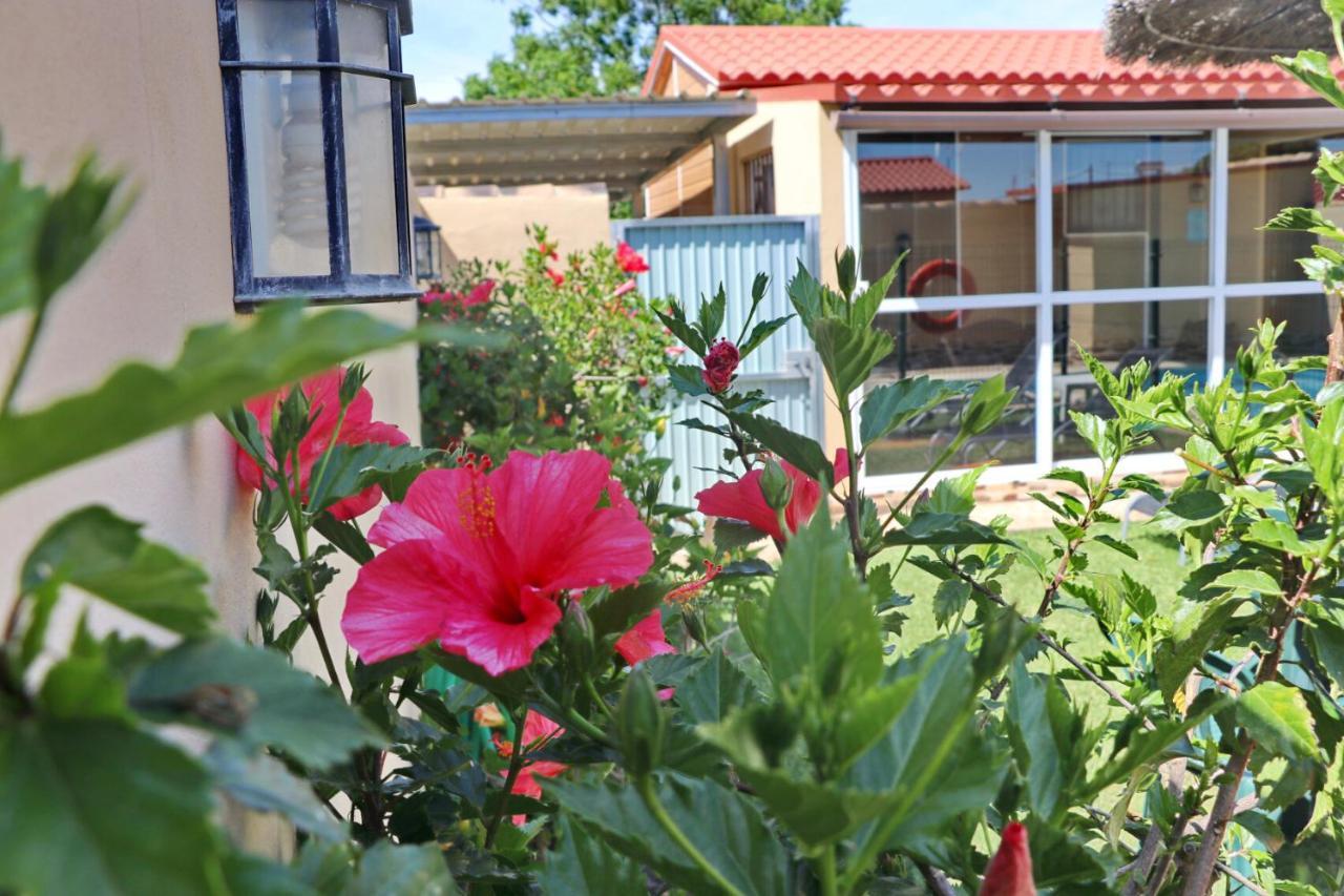 Bungalow Curro Pareja 97 Conil De La Frontera Exterior photo